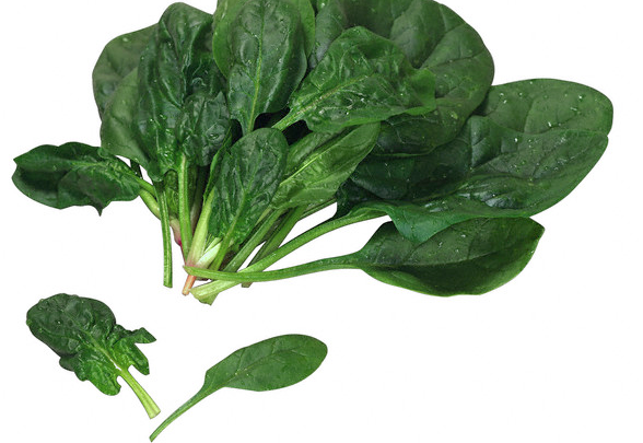 A bunch of spinach leaves