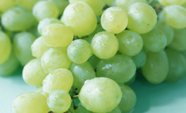 A cluster of green grapes