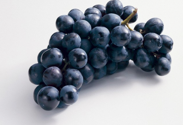 A bunch of fresh purple grapes