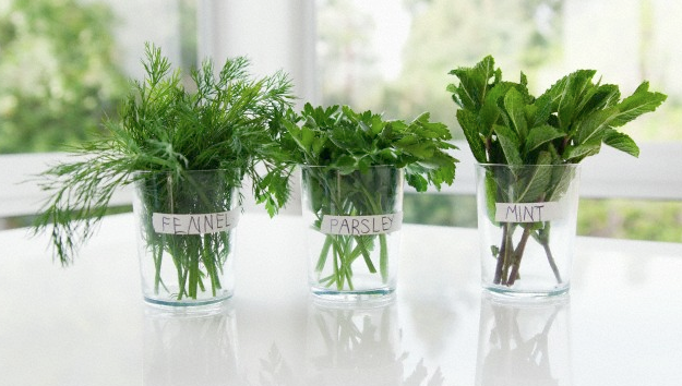 Fresh herbs