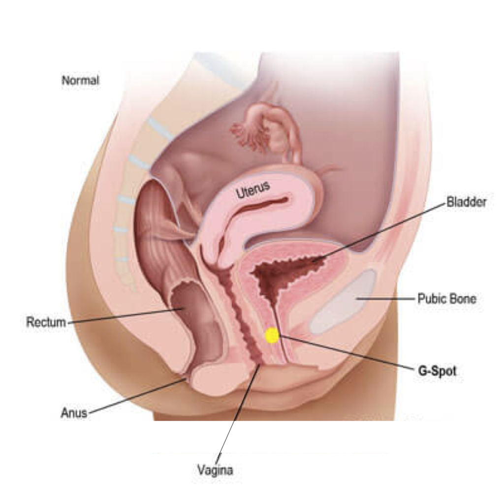 Finding The G Spot BlackDoctor