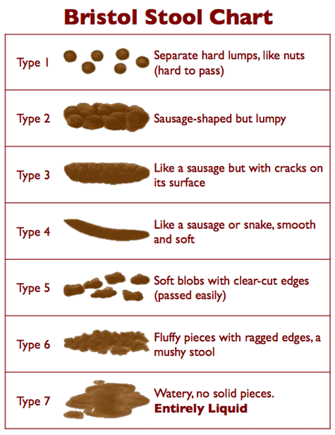 stool chart