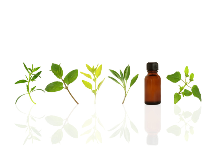 essential oil leaves