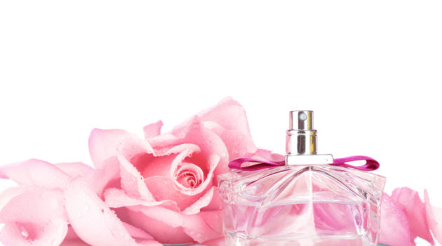 Perfume bottle and pink rose