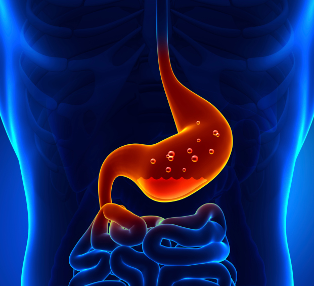 animangted upset stomach