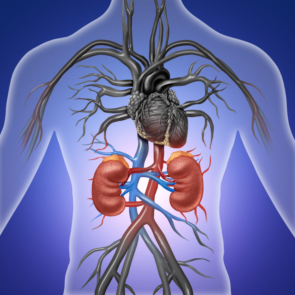 uncommon-signs-of-chronic-kidney-failure