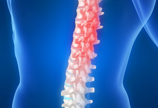 back pain spinal cord