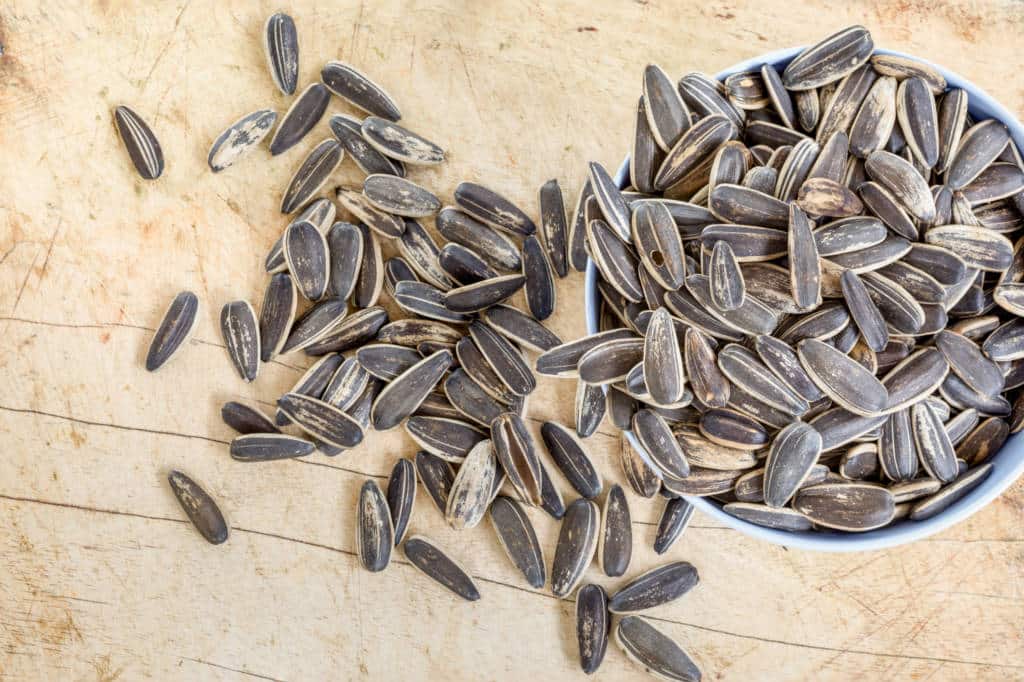 6 Seeds You Should Be Eating More Of Where Wellness & Culture Connect