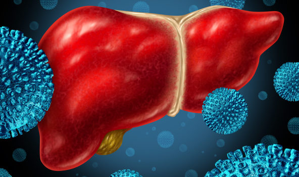 animated liver hepatitis infection