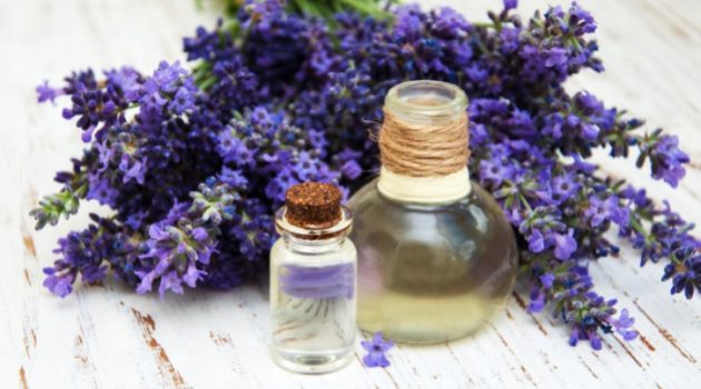 fresh lavender and massage oil