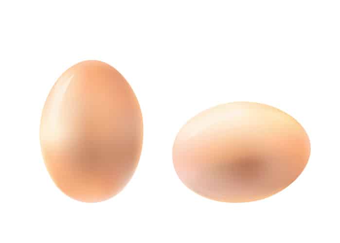 eggs