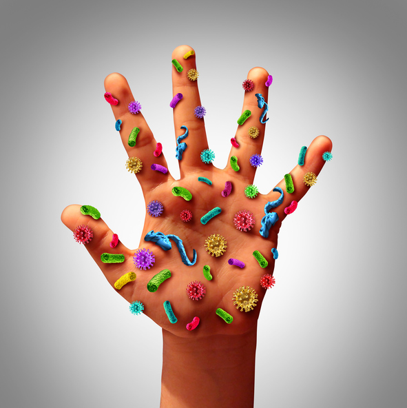 Hand germs disease spread and the dangers of spreading illness in public as a health care risk concept to not wash your hands as dirty infected fingers and palm with microscopic viruses and bacteria.