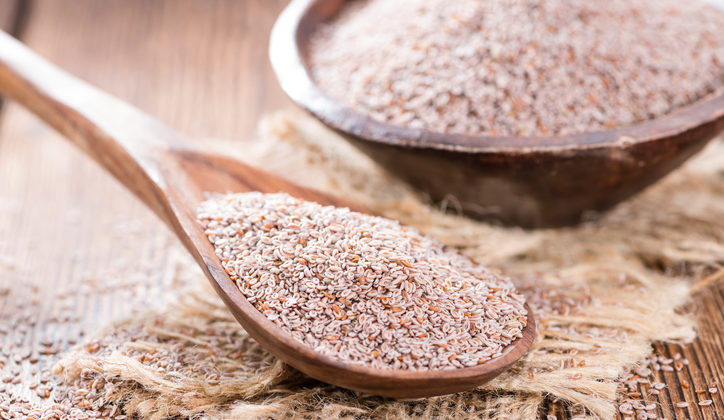Psyllium fiber seeds