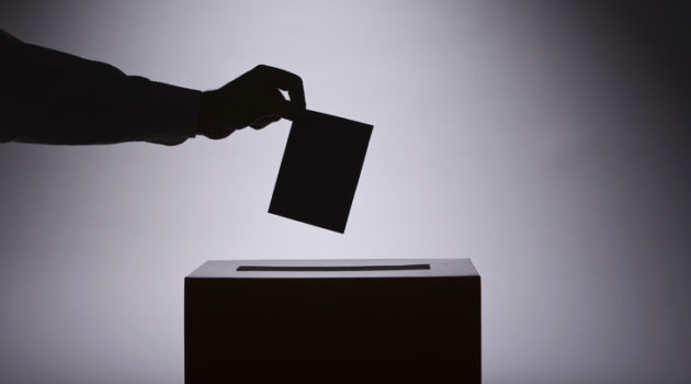person voting with ballot
