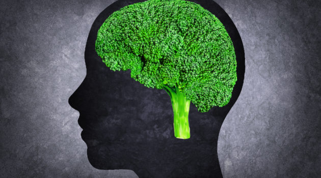 what foods can you eat to improve your memory