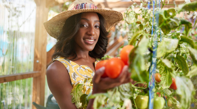 African American woman with fresh tomatoes