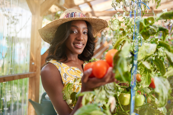 African American woman with fresh tomatoes