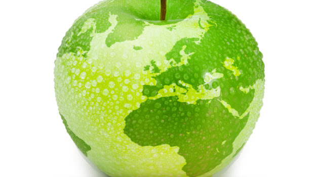 Apple with world map