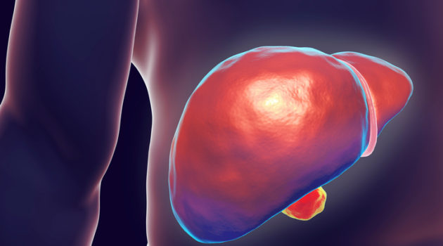 Liver in body hepatitis