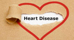 heart disease heart illustration