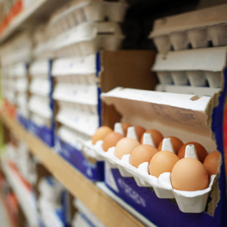 Dozen More Sick Over 200 Million Eggs Recall Page 2 of 2