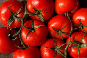 Tomatoes on a vine. 