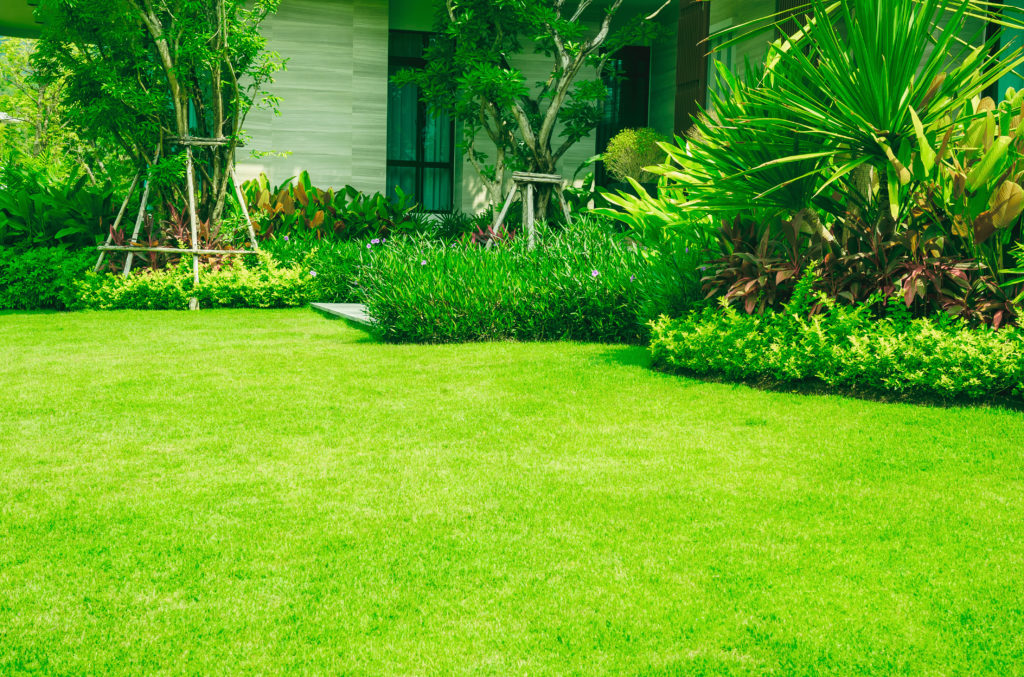 3 Tips To Achieving A Luxurious Lawn - BlackDoctor.org - Where Wellness ...