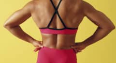 back workouts