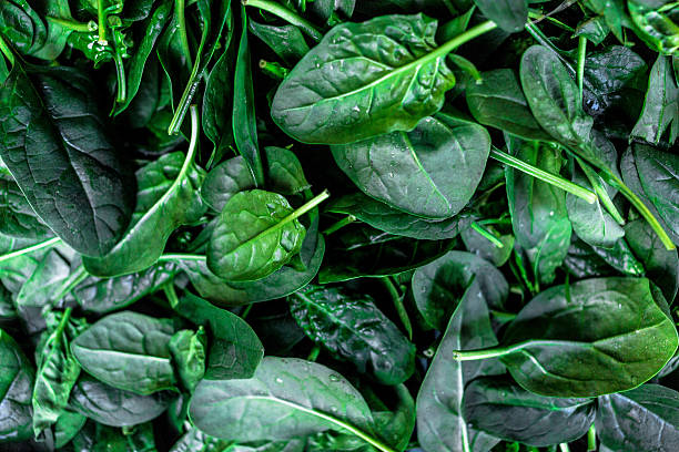 Greens leaf for arteries