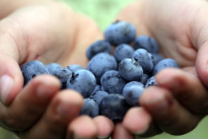 Berries For Heart Health