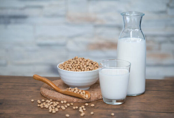 Milk: Animal or Plant – Which is Best?