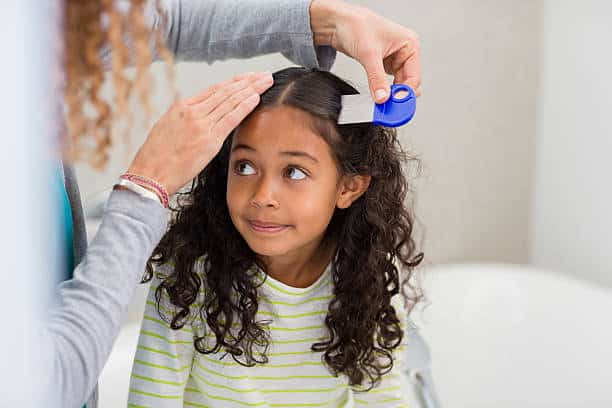 can Black people get lice