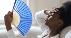 home remedies for menopause