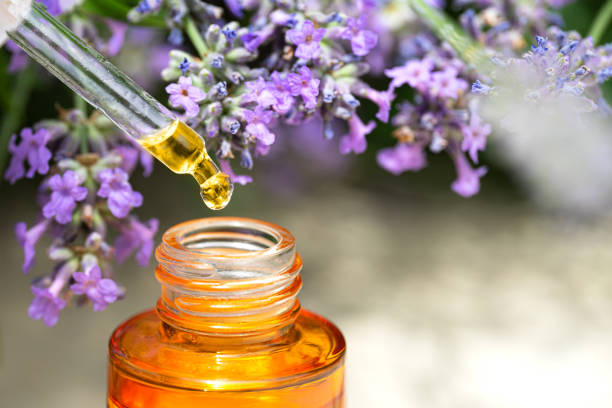 essential oils for headaches