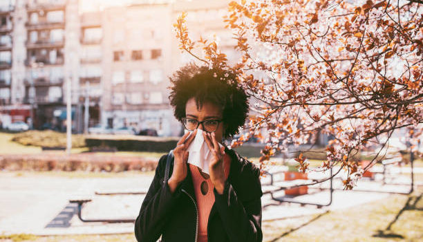 how to avoid spring allergies