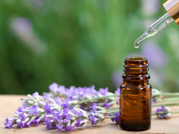 lavender oil for copd