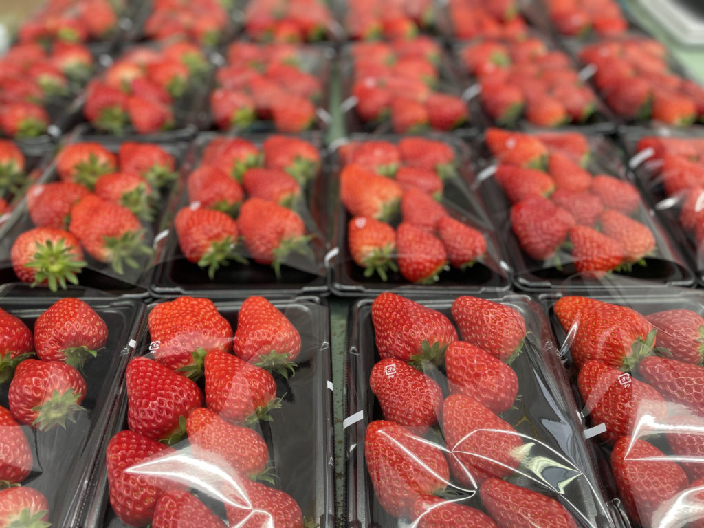 ALERT Huge Strawberry Recall! Strawberries Linked to Hepatitis