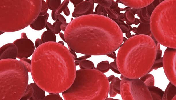 red blood cell count