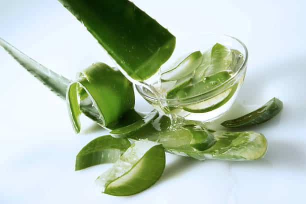 homemade aloe vera gel