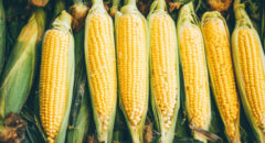 corn benefits