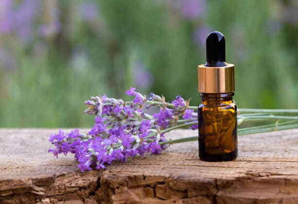 oil for scars
