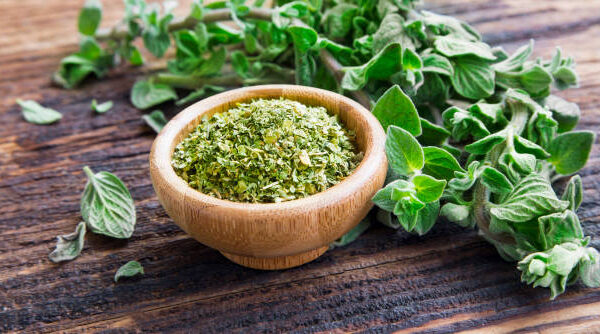 6 Ways Oregano is Rich in Healing Properties