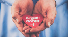 living organ donor