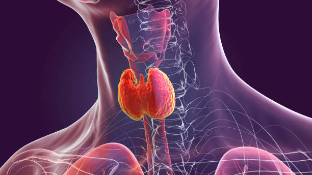 thyroid cancer symptoms