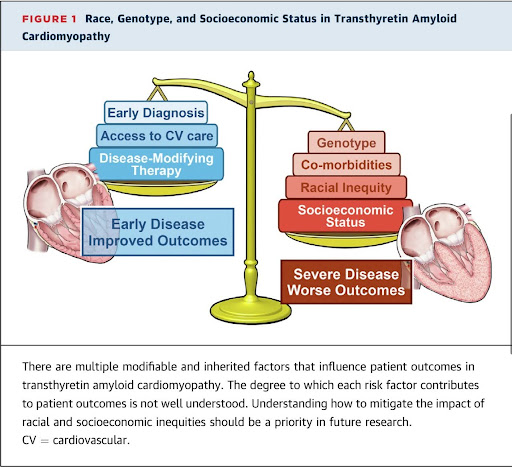 ATTR-CM treatment