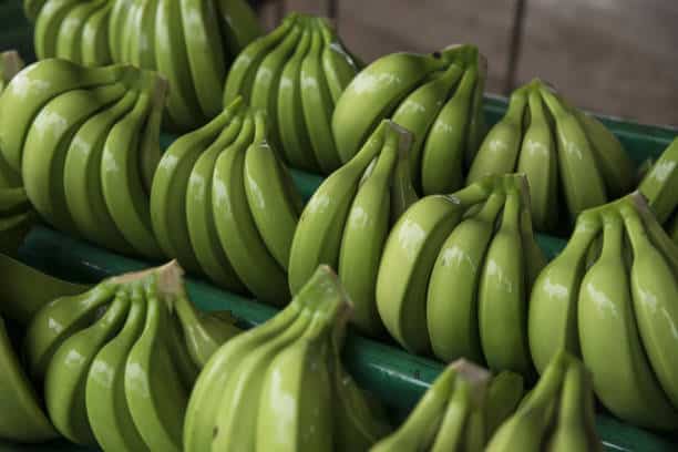 green bananas