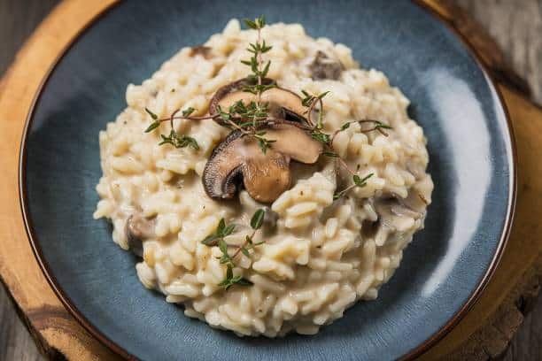 mushroom benefits