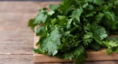 benefits of cilantro