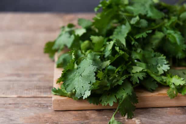 benefits of cilantro