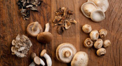 mushroom benefits